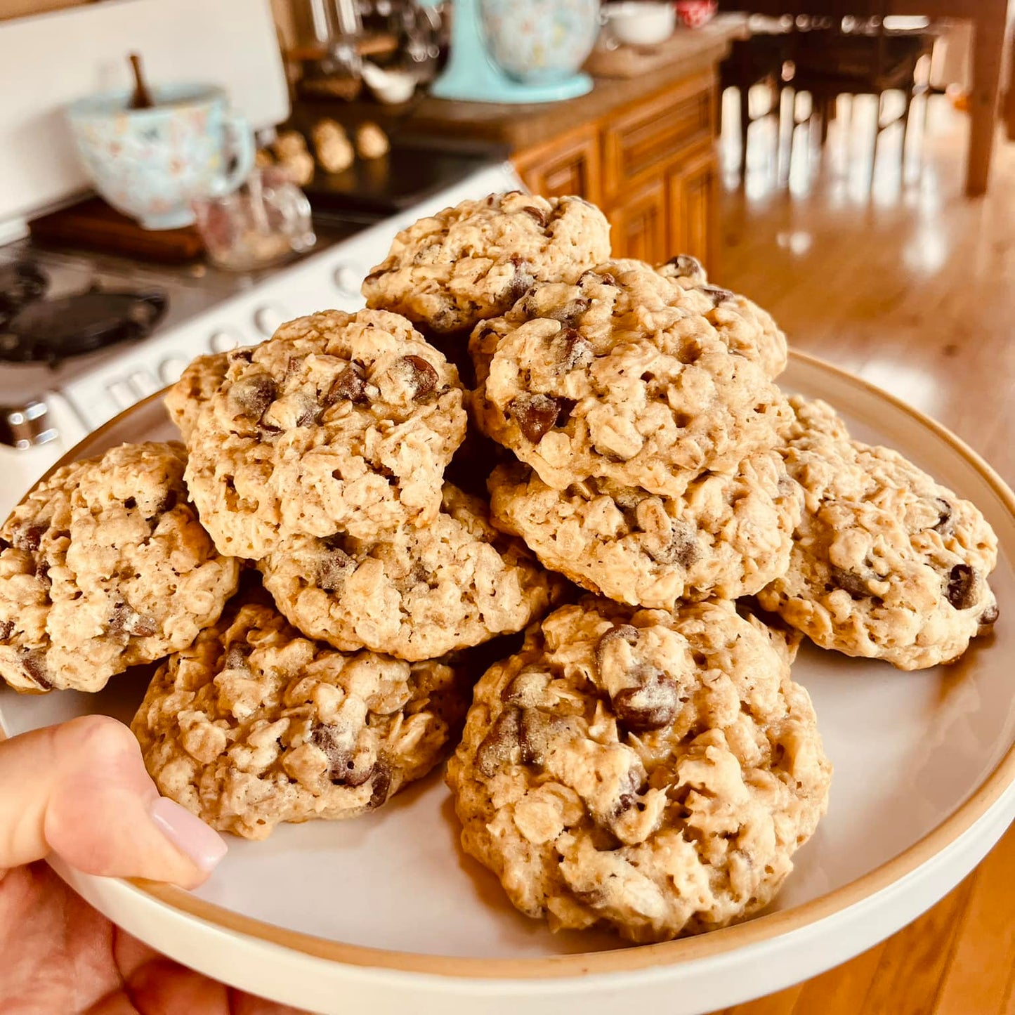 Oatmeal Chocolate Chip Cookies (13 cookies)