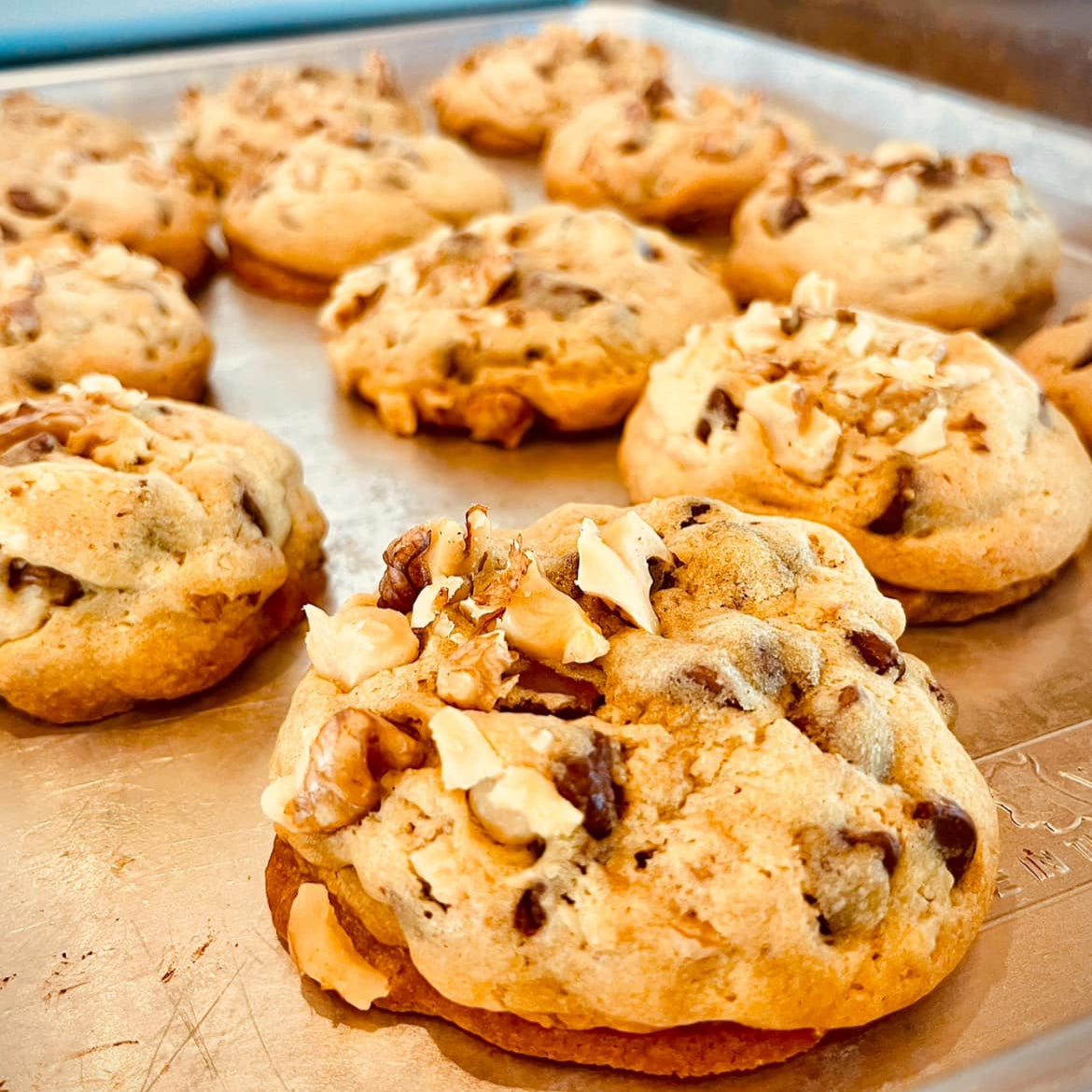 Chocolate Chip Walnut Cookies (13 cookies)